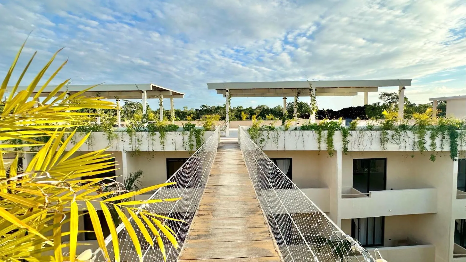 Cocay Tulum Welcome To The Jungle Mexico